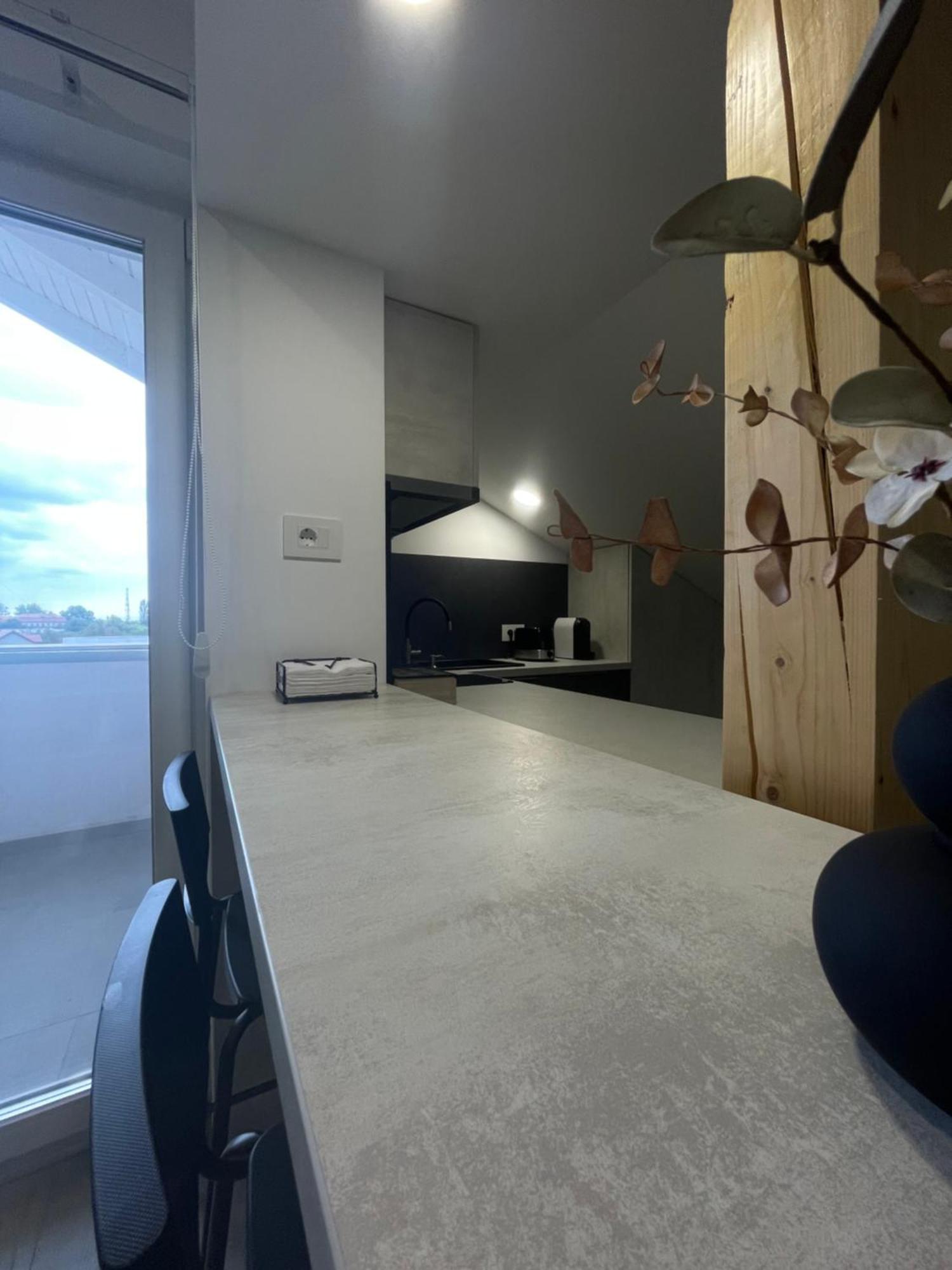 Comfort & Luxury Apartaments Pnmresidence Timişoara Exterior foto